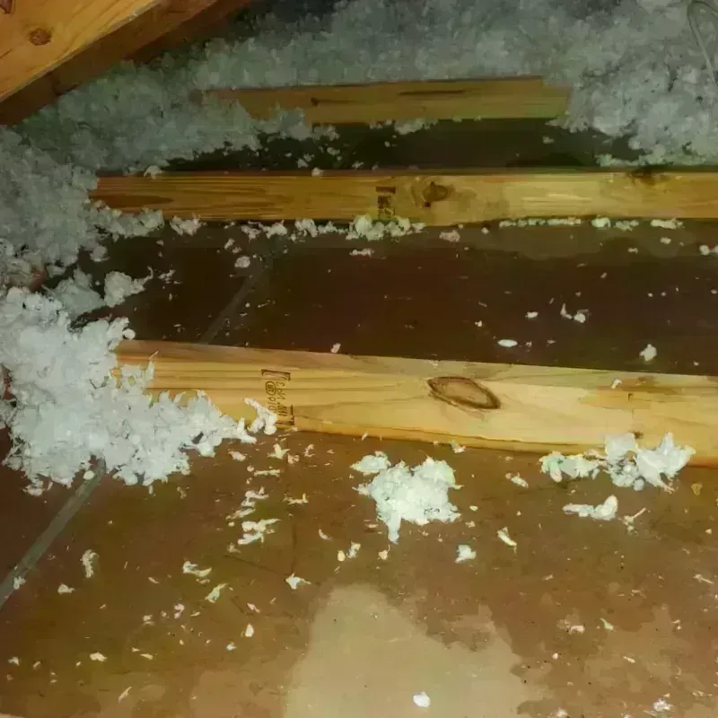 Attic Water Damage in Pojoaque, NM